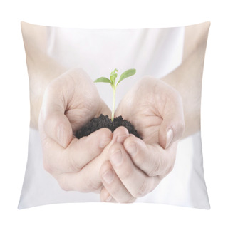 Personality  Sprout In Hands Pillow Covers