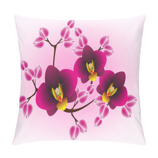 Personality   Floral Design Background, Orchids. Pillow Covers
