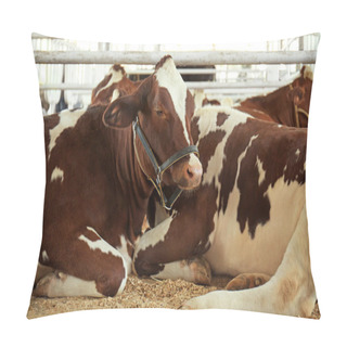 Personality  Cows In Corral With Metal Fence Pillow Covers