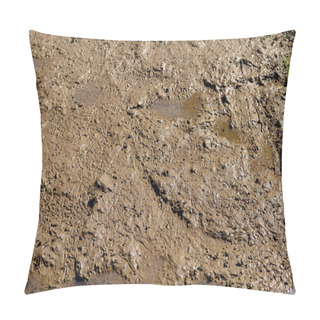 Personality  The Texture Of The Mud Or Wet Soil As Background Pillow Covers