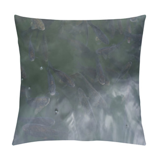 Personality  Dark Fishes Swimming In Pond With Bubbles In Summertime  Pillow Covers