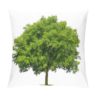 Personality  Beautiful Deciduous Tree On White Pillow Covers