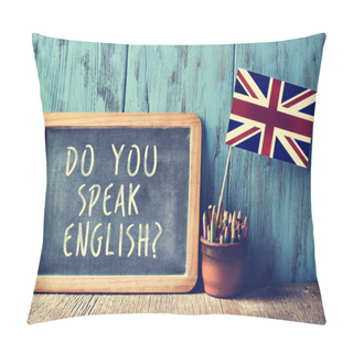 Personality  Text Do You Speak English? In A Chalkboard, Filtered Pillow Covers