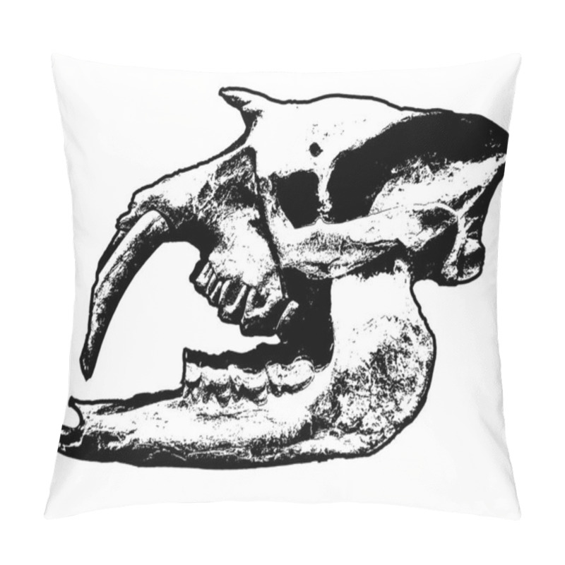 Personality  Side View Shot Astrapotherium Animal Skull Head Pillow Covers