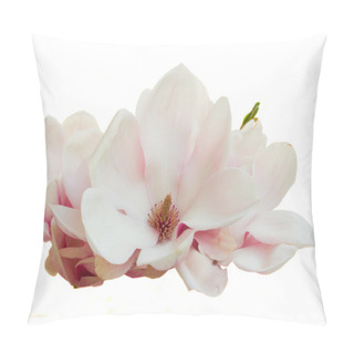 Personality  Blossoming Pink  Magnolia Flowers Pillow Covers