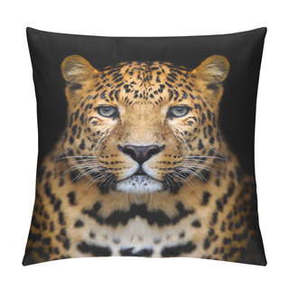 Personality  Leopard Portrait Pillow Covers