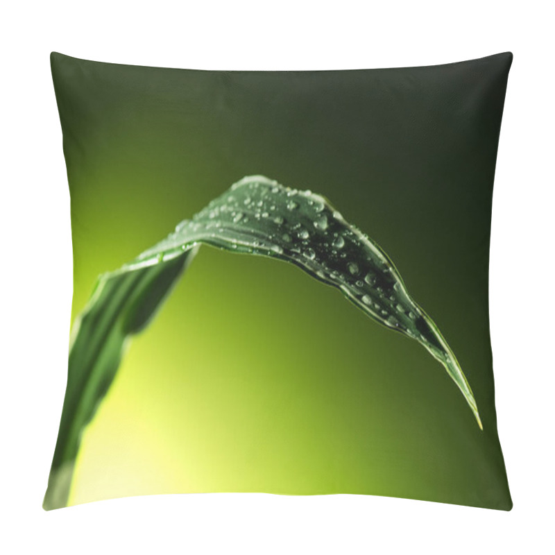 Personality  Plant Leaf With Water Drops Pillow Covers