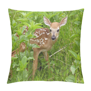 Personality  Whitetail Deer Fawn Standing In Tall Grass. Pillow Covers