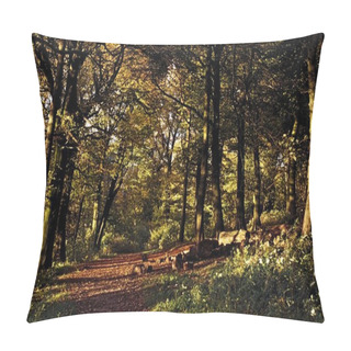 Personality  Forest In Peak District National Park, Derbyshire, England, Europe Pillow Covers