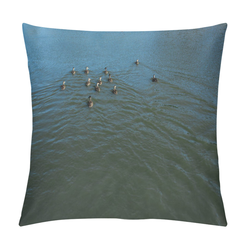 Personality  Flock Of Wild Geese Swimming In Lake In Summertime  Pillow Covers