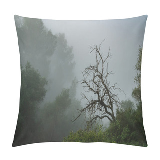 Personality  A Foggy Forest Scenery With A Dead Tree, In The Judea Mountains Near Jerusalem, Israel Pillow Covers