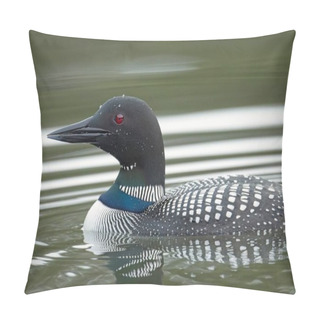 Personality  A Close Up Side Profile Of A Common Loon Swimming In Fernan Lake In Coeur D'Alene, Idaho. Pillow Covers