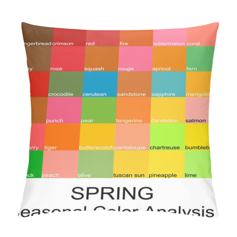 Personality  Stock Vector Color Guide With Color Names. Seasonal Color Analysis Palette For Spring Type. Type Of Female Appearance Pillow Covers