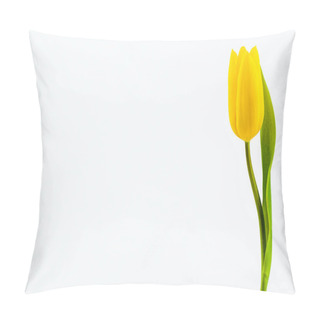 Personality  Tulips Flowers Petals, Spring Flora Pillow Covers