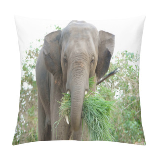 Personality  Asia Elephant Pillow Covers