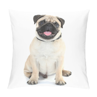 Personality  Funny, Cute And Playful Pug Pillow Covers