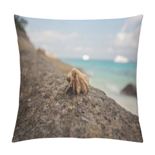 Personality  Hermit Crab Close-up On  Background Of Stone And Ocean Pillow Covers