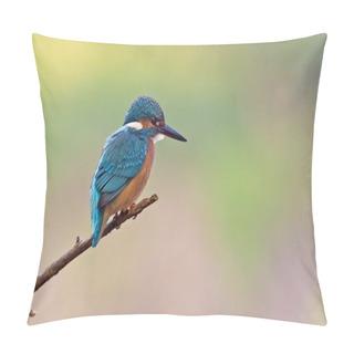 Personality  Kingfisher  Young Bird On Perch Pillow Covers