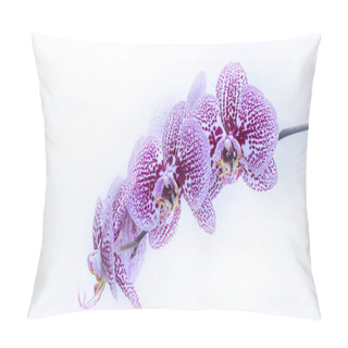 Personality  Purple Orchids On A White Background. Close-up. Pillow Covers