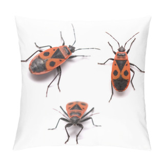Personality  Bug Pillow Covers