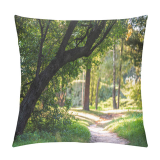 Personality  Empty Pathway In Park With Green Trees And Plants Around Pillow Covers