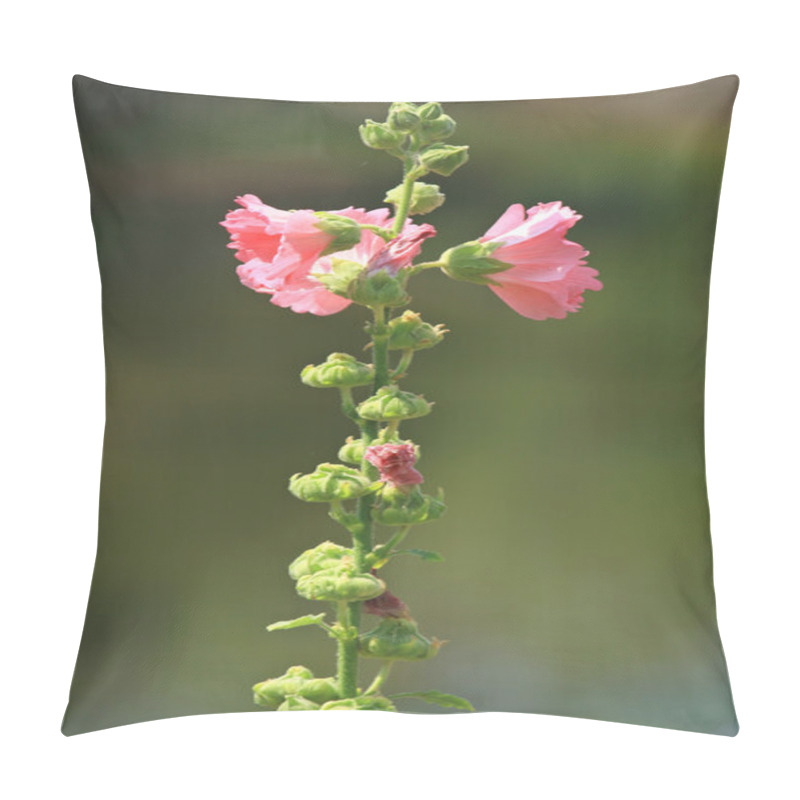 Personality  An orchid-pink-color Rose of Sharon flower blooms in the garden pillow covers