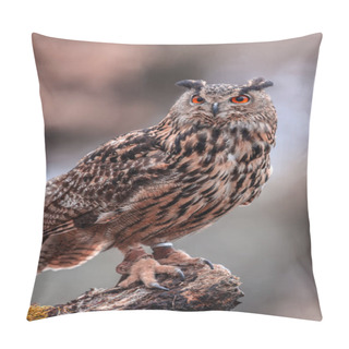 Personality  Eurasian Eagle Owl (Bubo Bubo), Flying Bird With Open Wings With The Autumn Forest In The Background, Animal In The Nature Habitat. Pillow Covers