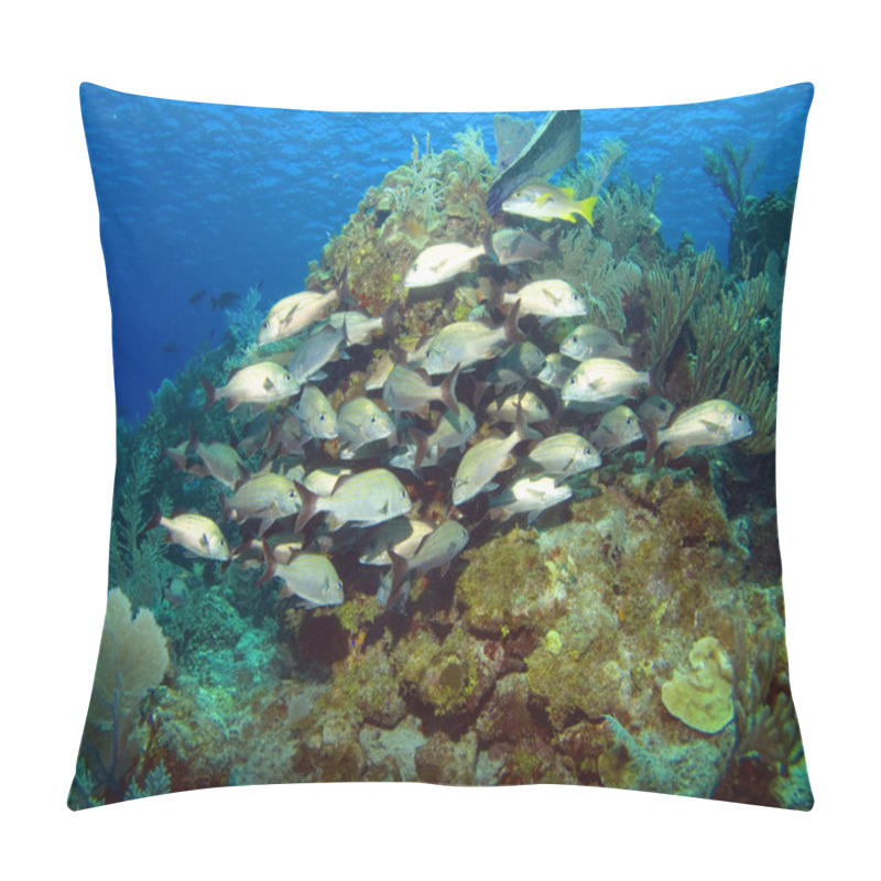 Personality  Cayman Brac Reef Scene With School Of French Grunts Pillow Covers