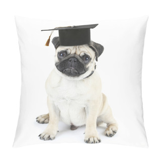 Personality  Cute Dog With Grad Hat Isolated Pillow Covers