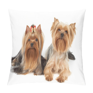 Personality  Two Yorkshire Terriers Pillow Covers