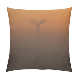 Personality  Beautiful Baobab Tree Pillow Covers