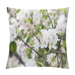 Personality  A Branch Of Blooming Apple Tree Pillow Covers