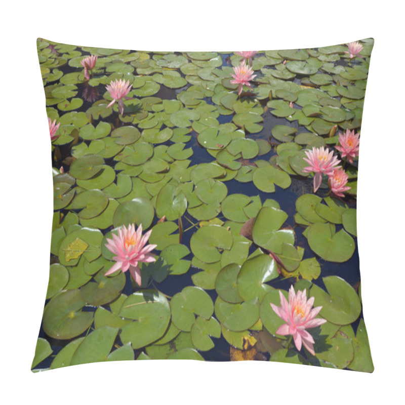 Personality  Beautiful Pink Nymphaeaceae Water Lily Flowers Pillow Covers