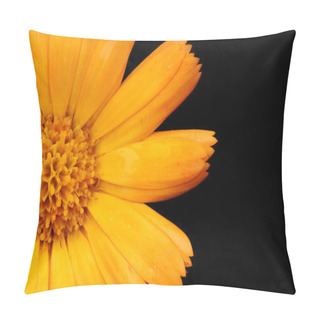 Personality  Orange Flower Closeup Pillow Covers