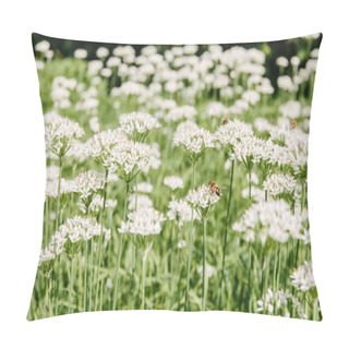 Personality  Close-up Shot Of Bees Sitting On Beautiful White Field Flowers Pillow Covers