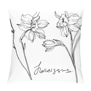 Personality  Vector Narcissus Flowers Illustration Isolated On White. Black And White Engraved Ink Art.  Pillow Covers