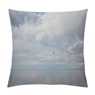 Personality  Blue Sky With White Clouds And Flying Bird Reflected In River Water Pillow Covers