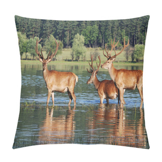 Personality  Deer With Big Horns Pillow Covers