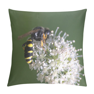 Personality  Wasp On The Flower, Pillow Covers