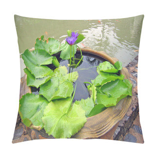 Personality  Small Pond With Small Fishes And Water Exotic Flowers In A Garden Of Orchids, Pattaya, Thailand Pillow Covers
