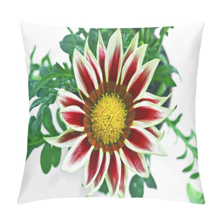 Personality  Red Gazania Flower Pillow Covers