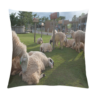Personality  Sheep Rest On The Grass Field Pillow Covers