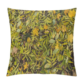 Personality  Fallen Leaves On Ground Pillow Covers