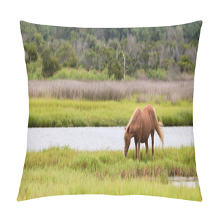 Personality  Assateague Wild Pony Grazing In Field Pillow Covers