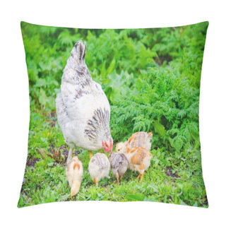 Personality  Chicken And Hen Pillow Covers