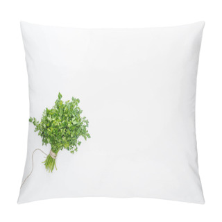 Personality  Top View Of Green Parsley Tied With Rope Isolated On White Pillow Covers