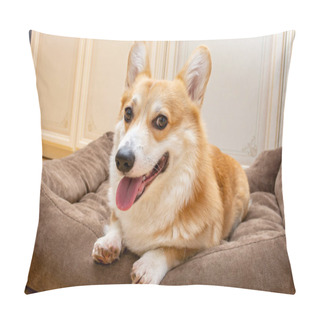 Personality  Corgi Welsh Pembroke Dog Lying On Pet Coach And Smiling With The Tongue Pillow Covers