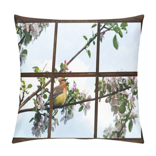 Personality  Spring Waxwing Seen Through Window. Pillow Covers