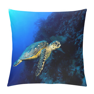 Personality  Hawksbill Turtle Pillow Covers