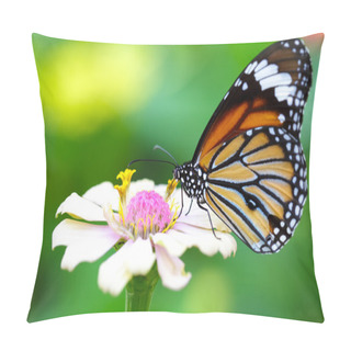 Personality  Closeup Butterfly On Flower Pillow Covers